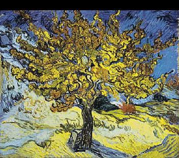 Vincent Van Gogh Mulberry Tree